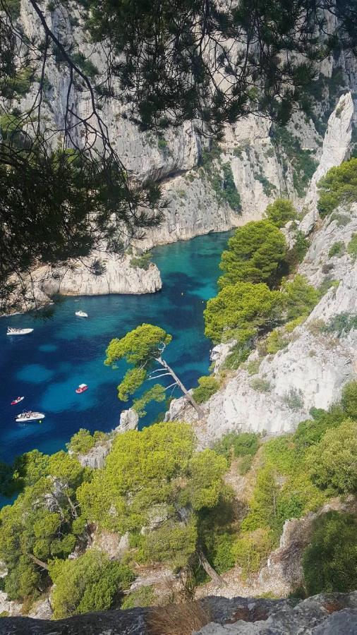 L'Oursinade Daire Cassis Dış mekan fotoğraf